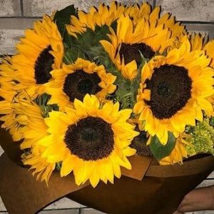 Meet your Posher, Ana